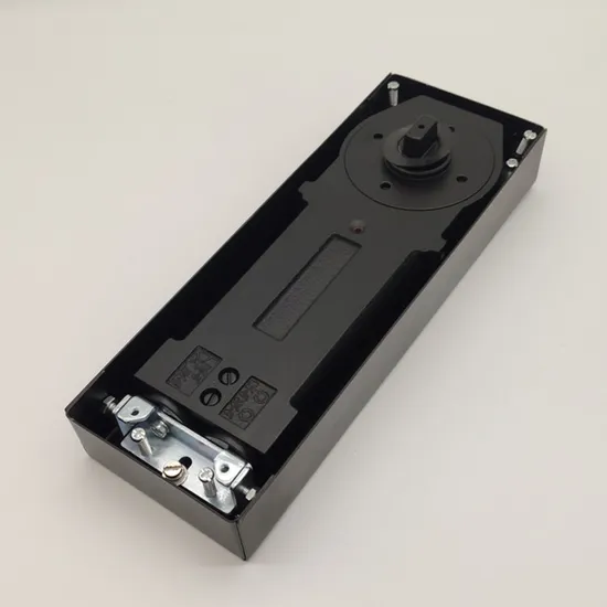 Stainless Steel Hydraulic Double Cylinder Glass Door Hinge Floor Spring Door Closer 