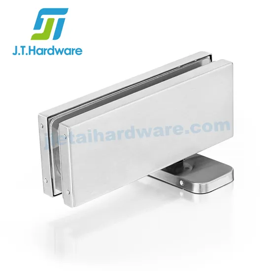Dfg883 Euro Speed Adjustable Pivot Hinge with Hydraulic Floor Spring 